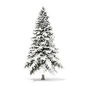 Spruce Tree with Snow 3D Model 4.4m