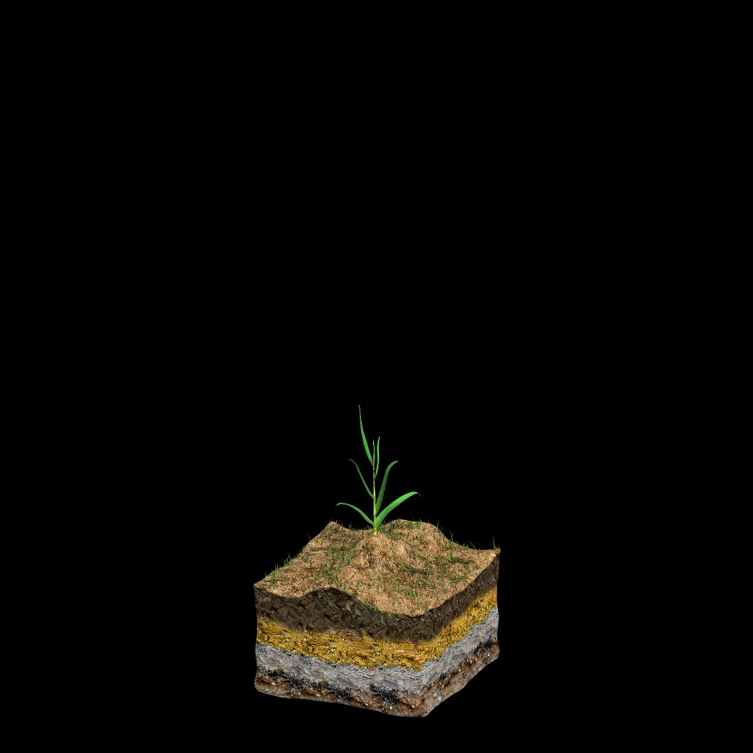 corn growth 3d model https://p.turbosquid.com/ts-thumb/bX/ck3ncm/a4AZdOqM/growth01_0004/png/1408821752/1920x1080/fit_q87/424705084945780a41fb180817c27f9e8ed86f1e/growth01_0004.jpg