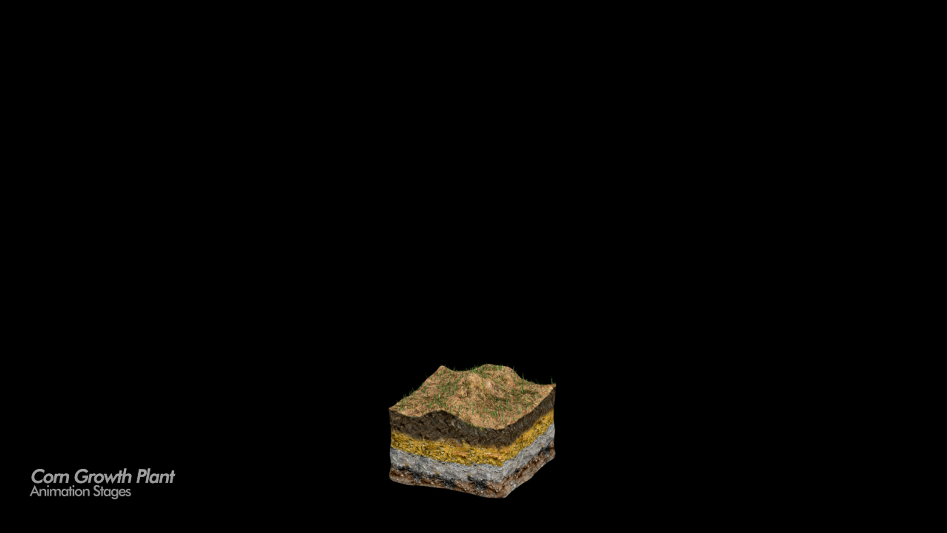 corn growth 3d model https://p.turbosquid.com/ts-thumb/bX/ck3ncm/nJCUm8iR/corn_growth_plant/png/1408822045/1920x1080/turn_fit_q99/b5f5cadec4ab5225cc4dbb3ba0e4a9be111e427e/corn_growth_plant-1.jpg