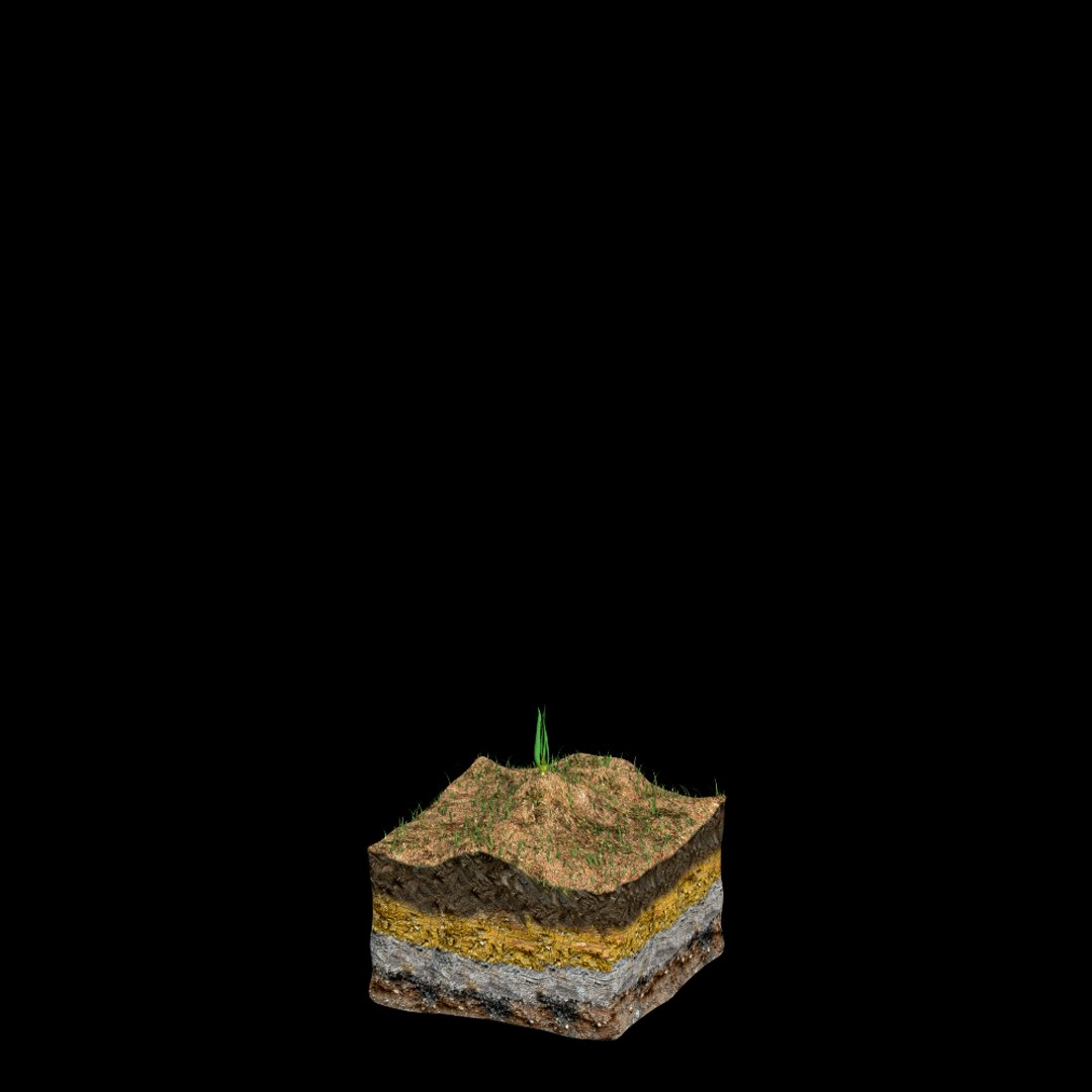corn growth 3d model https://p.turbosquid.com/ts-thumb/bX/ck3ncm/qmMQh8Ky/growth01_0002/png/1408821752/1920x1080/fit_q87/98de9f1ef2fcabc07957415961b1ed2d31f2ddf9/growth01_0002.jpg