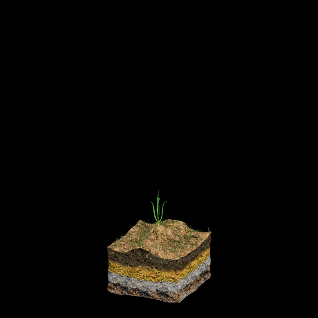 corn growth 3d model https://p.turbosquid.com/ts-thumb/bX/ck3ncm/y943i2XO/growth01_0003/png/1408821752/1920x1080/fit_q87/ed783379fba812ab79351bc5ea72c2c214cdedc3/growth01_0003.jpg