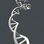 dna double helix 3D