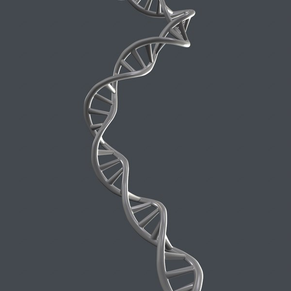 dna helix 3d