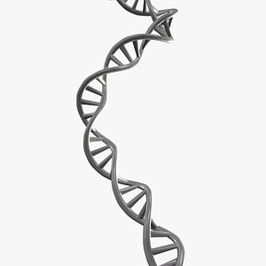 DNA Double Helix (Highpoly)