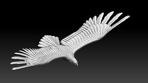 eagle model