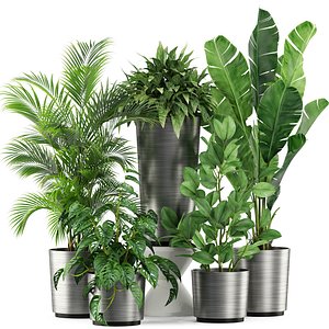 Plants collection 460 3D model