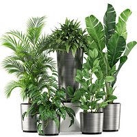 Plants collection 460