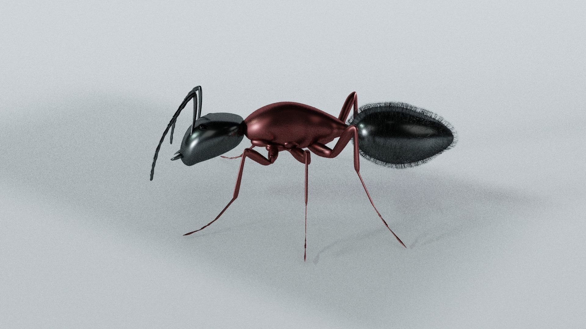 ant 3D model https://p.turbosquid.com/ts-thumb/bY/7JIkpN/GM/antmodel3dmodel732f973910/jpg/1696287838/1920x1080/fit_q87/23b2ab2f4b343a63b951e3b330e7c575aeafff70/antmodel3dmodel732f973910.jpg