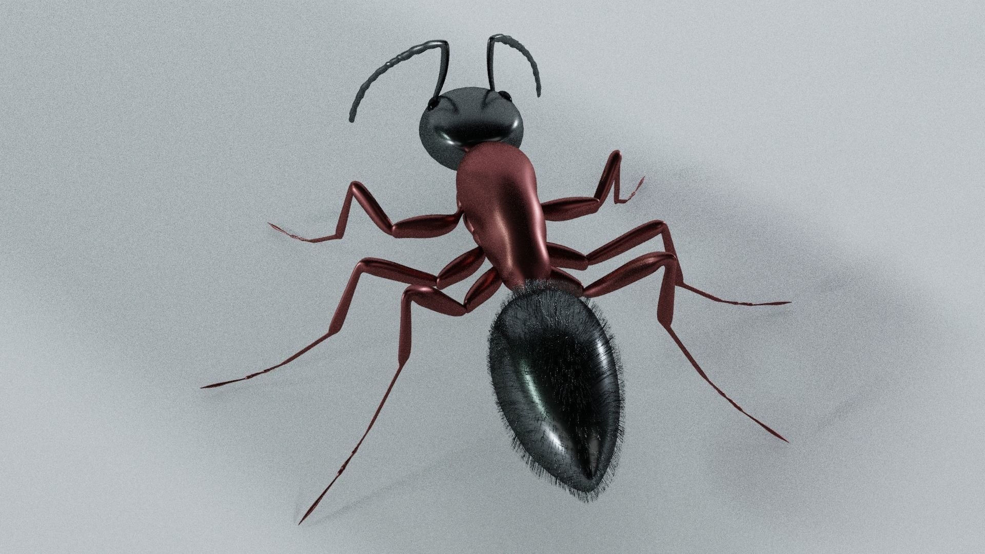 ant 3D model https://p.turbosquid.com/ts-thumb/bY/7JIkpN/J2/fff/jpg/1696288114/1920x1080/fit_q87/237e596228a7ba904727a400768868d492070bb4/fff.jpg