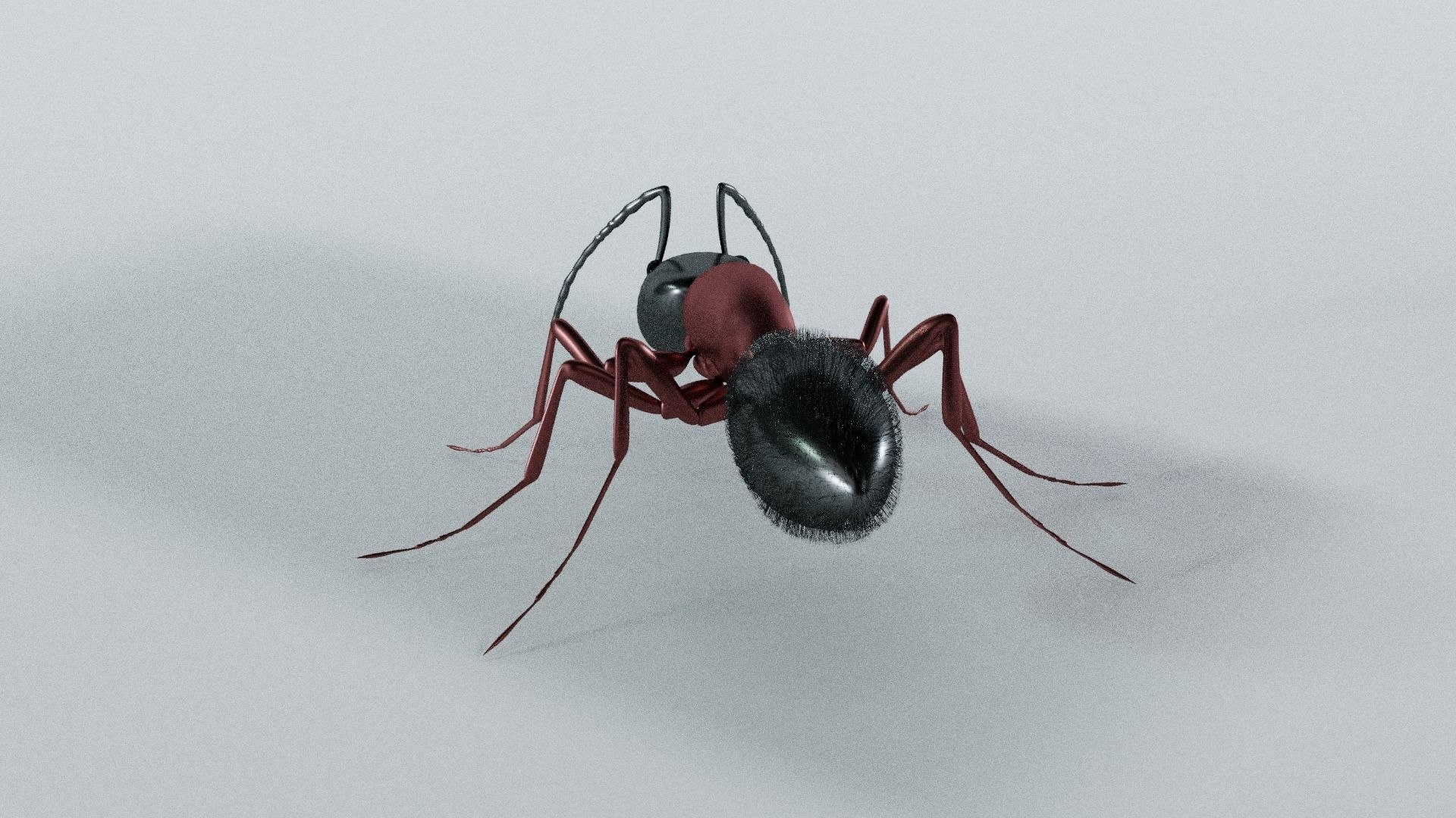 ant 3D model https://p.turbosquid.com/ts-thumb/bY/7JIkpN/fT/antmodel3dmodeld066972f0f/jpg/1696287839/1920x1080/fit_q87/17de018816558ebdbf1f3bee6c997e79d5342539/antmodel3dmodeld066972f0f.jpg