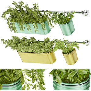 Collection plant vol 38 3D