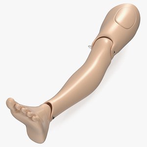 3D aid training manikin leg