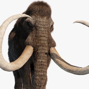 mammoth