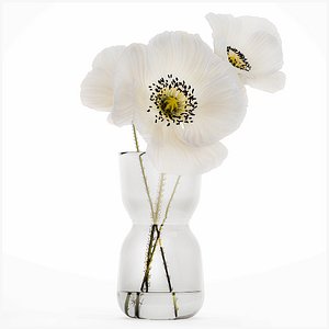 Beautiful Minimalist Bouquet Vase Icelandic Poppy 594 model