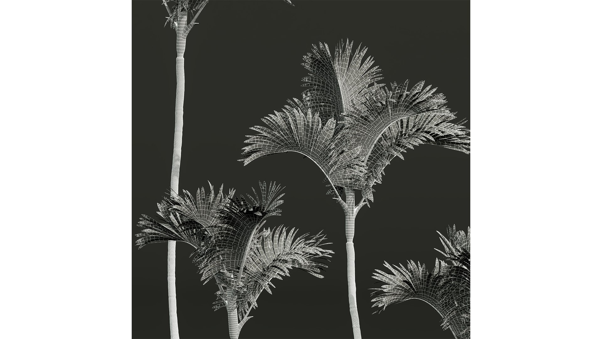 New Plant High detail Cyrtostachys Renda Small 3D https://p.turbosquid.com/ts-thumb/bY/jsI8rq/pU/z04/png/1707050724/1920x1080/fit_q87/e001c258efe33d16c28c4033873614952e78c1fa/z04.jpg
