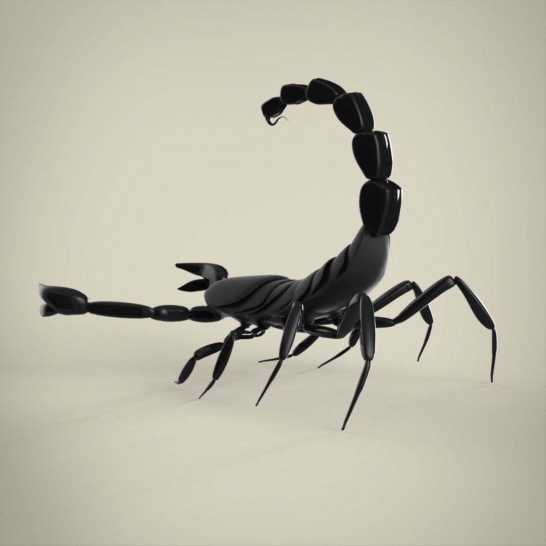 3D Scorpion Insect Animal - TurboSquid 1389092