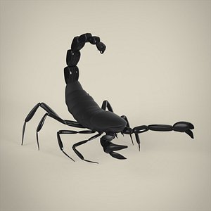 3D scorpion insect animal