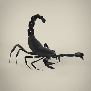 Scorpio