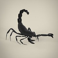 Scorpio