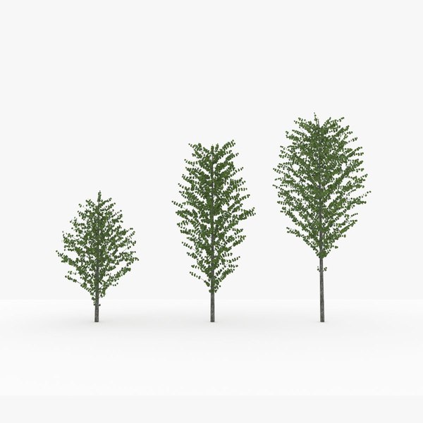 Tree planting katsura lod2 3D model - TurboSquid 1659484