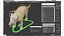 South American Coati Rigged