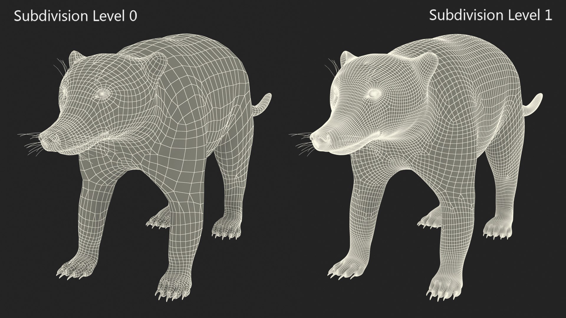 3D South American Coati Rigged model https://p.turbosquid.com/ts-thumb/bY/lLkz2Q/CV/southamericancoatiriggedvray3dmodel035/jpg/1708977465/1920x1080/fit_q87/ce826a4f938b0d7c9fb8b146f0336c723bec6921/southamericancoatiriggedvray3dmodel035.jpg