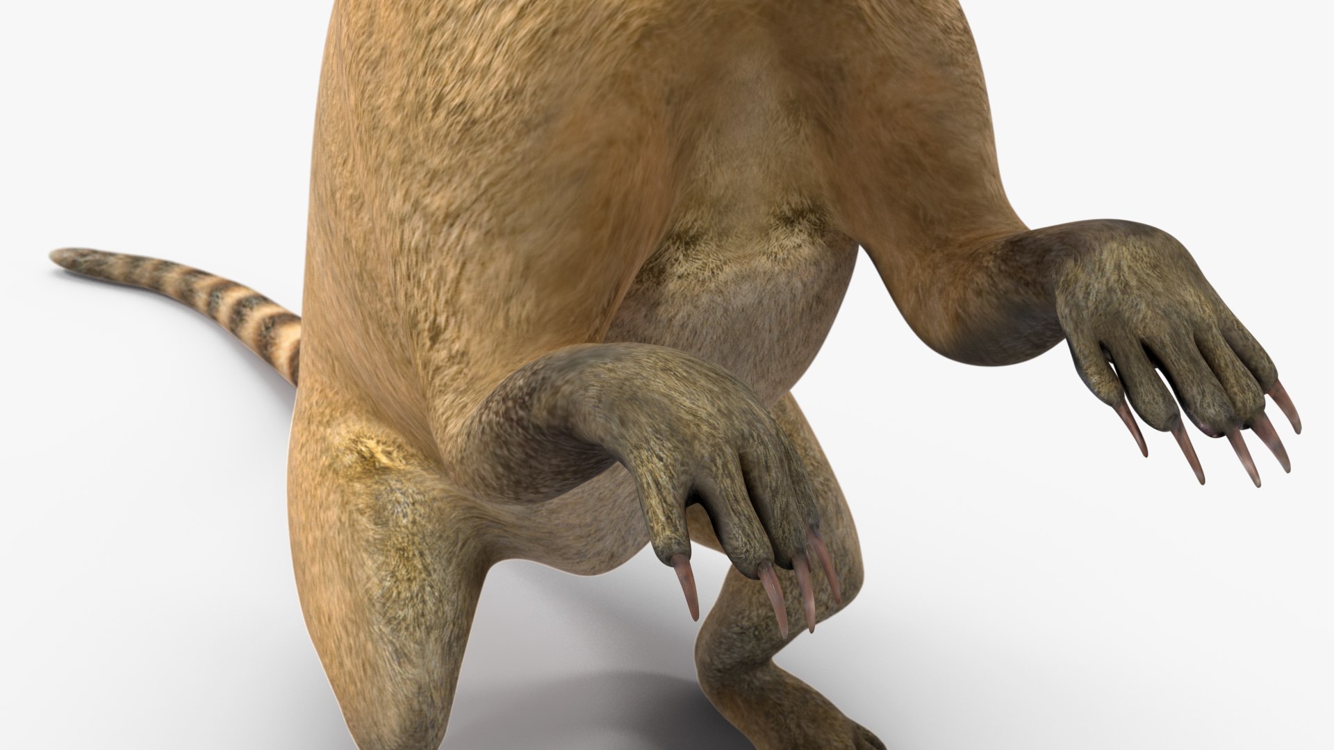 3D South American Coati Rigged model https://p.turbosquid.com/ts-thumb/bY/lLkz2Q/Co/southamericancoatiriggedvray3dmodel029/jpg/1708977438/1920x1080/fit_q87/87edd523ff253e6102b3e72e9db4cd70e3152eb6/southamericancoatiriggedvray3dmodel029.jpg