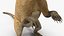 South American Coati Rigged