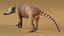 South American Coati Rigged