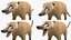 South American Coati Rigged