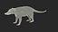 South American Coati Rigged