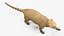 South American Coati Rigged