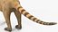South American Coati Rigged