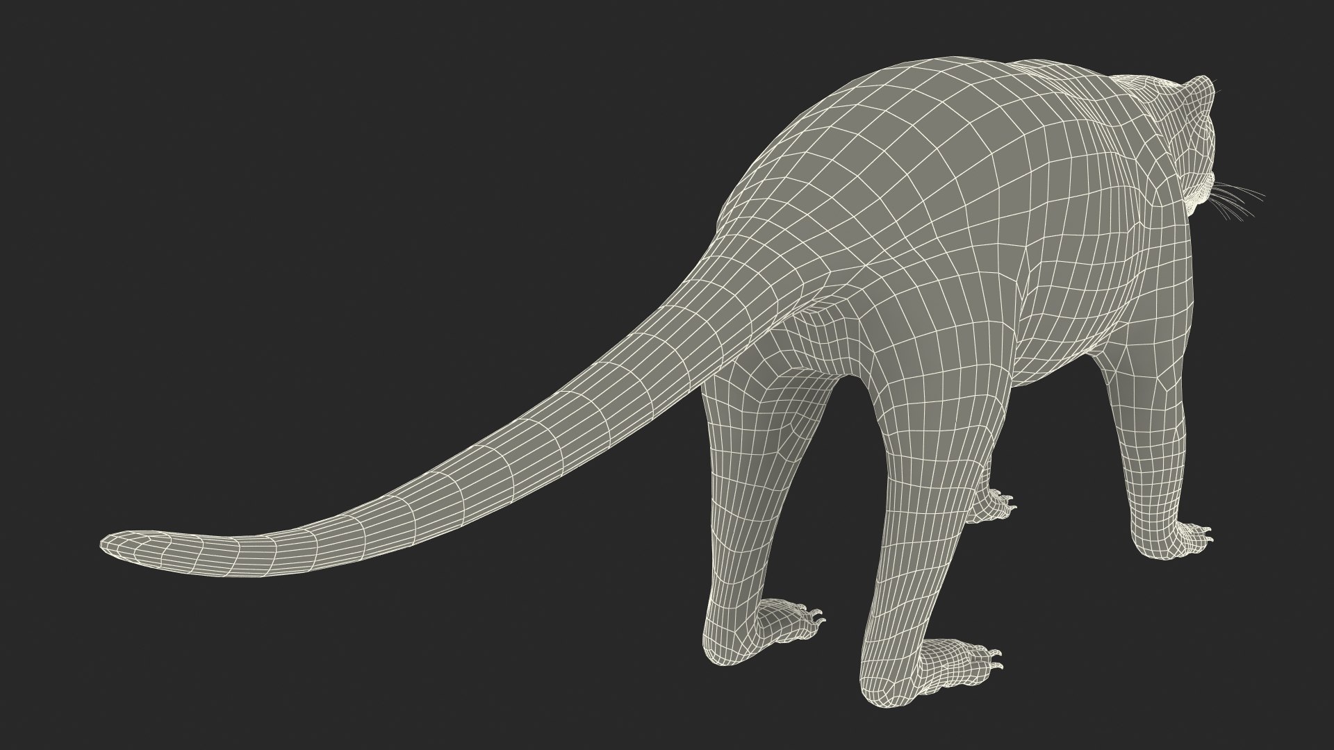 3D South American Coati Rigged model https://p.turbosquid.com/ts-thumb/bY/lLkz2Q/g3/southamericancoatiriggedvray3dmodel040/jpg/1708977492/1920x1080/fit_q87/2619f6ea9f18ce155722d12c468aabc0fbdaa63e/southamericancoatiriggedvray3dmodel040.jpg