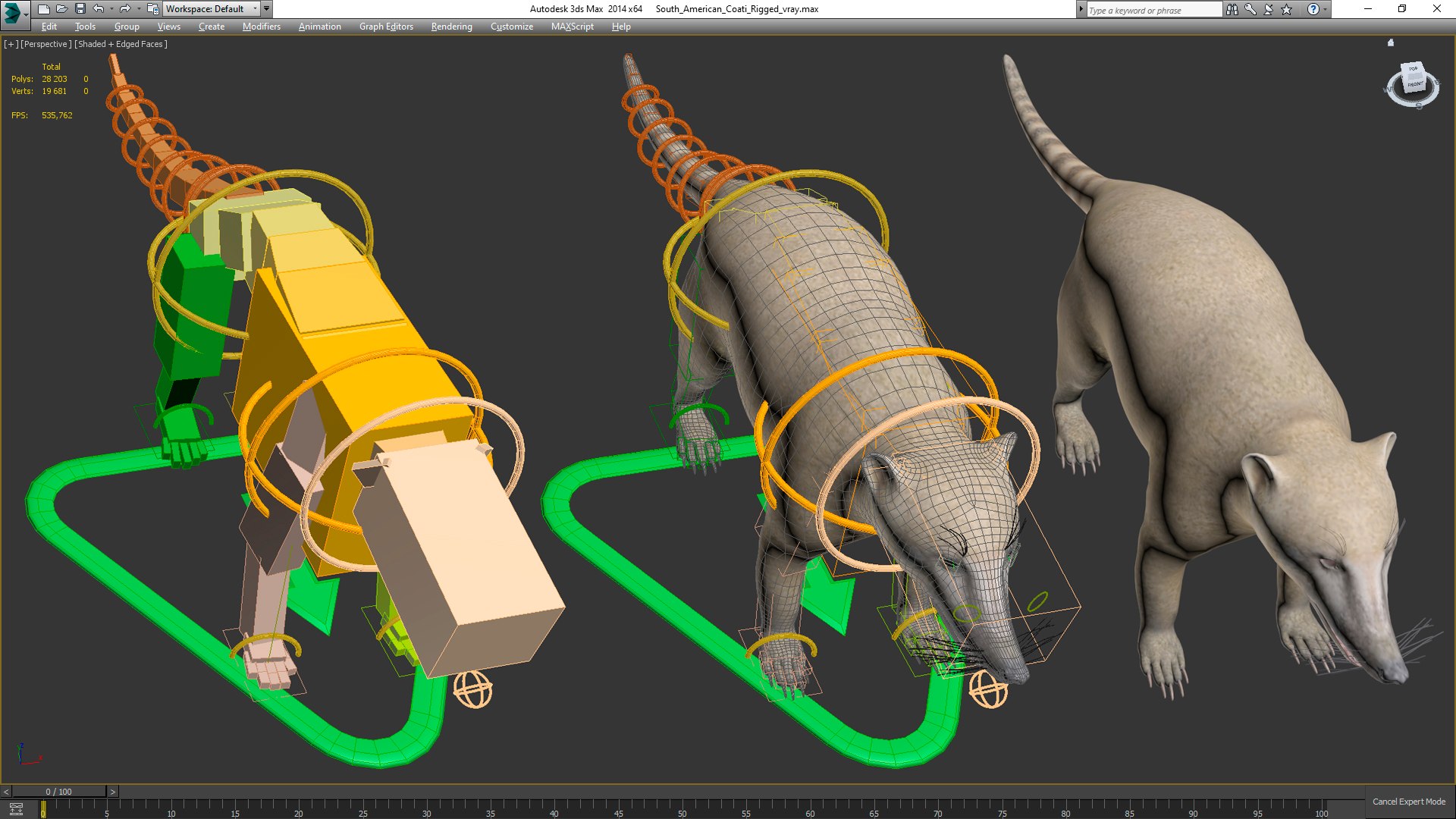 3D South American Coati Rigged model https://p.turbosquid.com/ts-thumb/bY/lLkz2Q/m7/southamericancoatiriggedvray3dmodel034/jpg/1708977461/1920x1080/fit_q87/43060ef093d2751bc551963406d4955463d4a8ef/southamericancoatiriggedvray3dmodel034.jpg