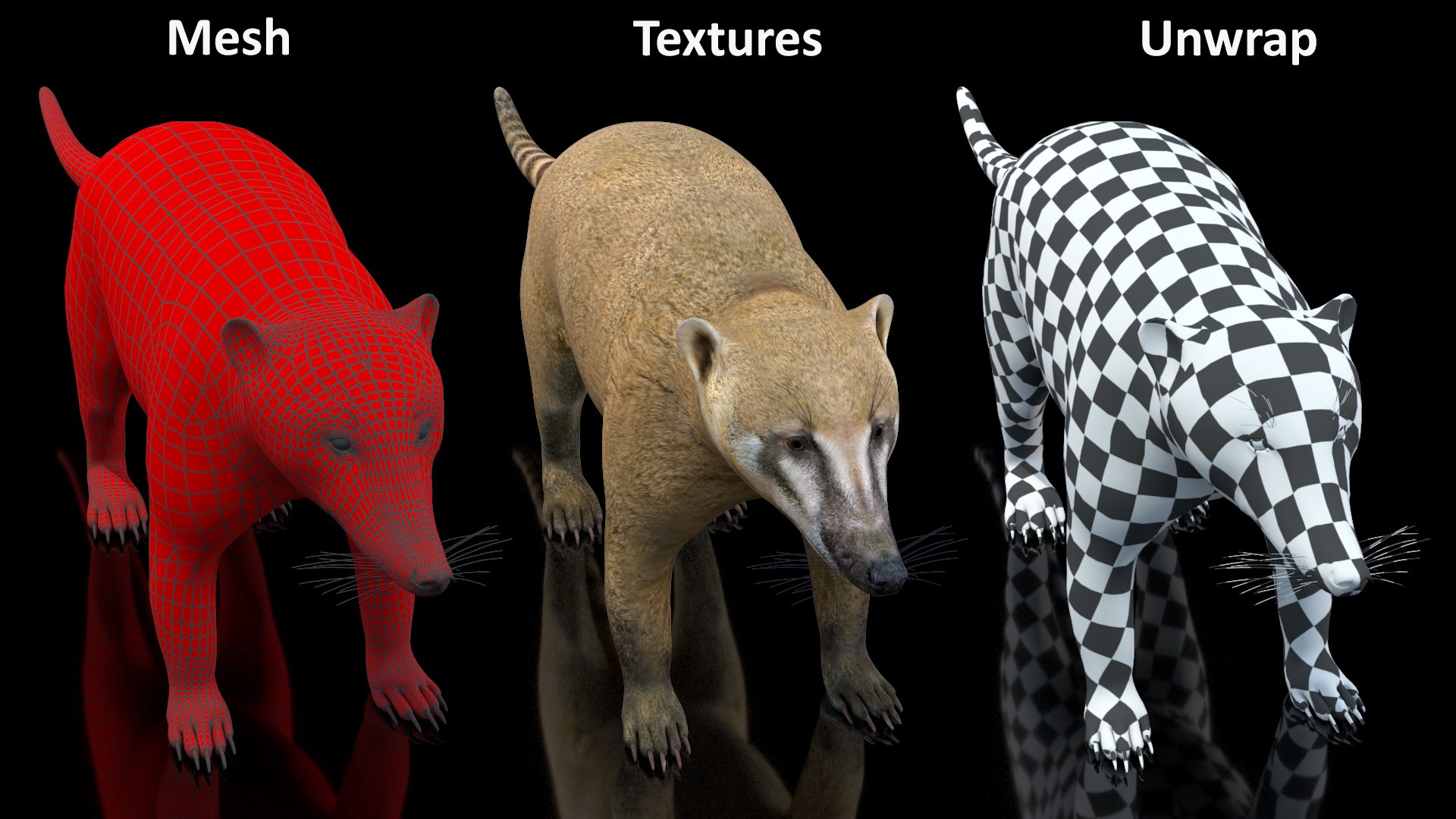 3D South American Coati Rigged model https://p.turbosquid.com/ts-thumb/bY/lLkz2Q/qH/southamericancoatiriggedvray3dmodel033/jpg/1708977456/1920x1080/fit_q87/4402a3f00bcaa1b3e33b6146ead7f12590fcfdc3/southamericancoatiriggedvray3dmodel033.jpg