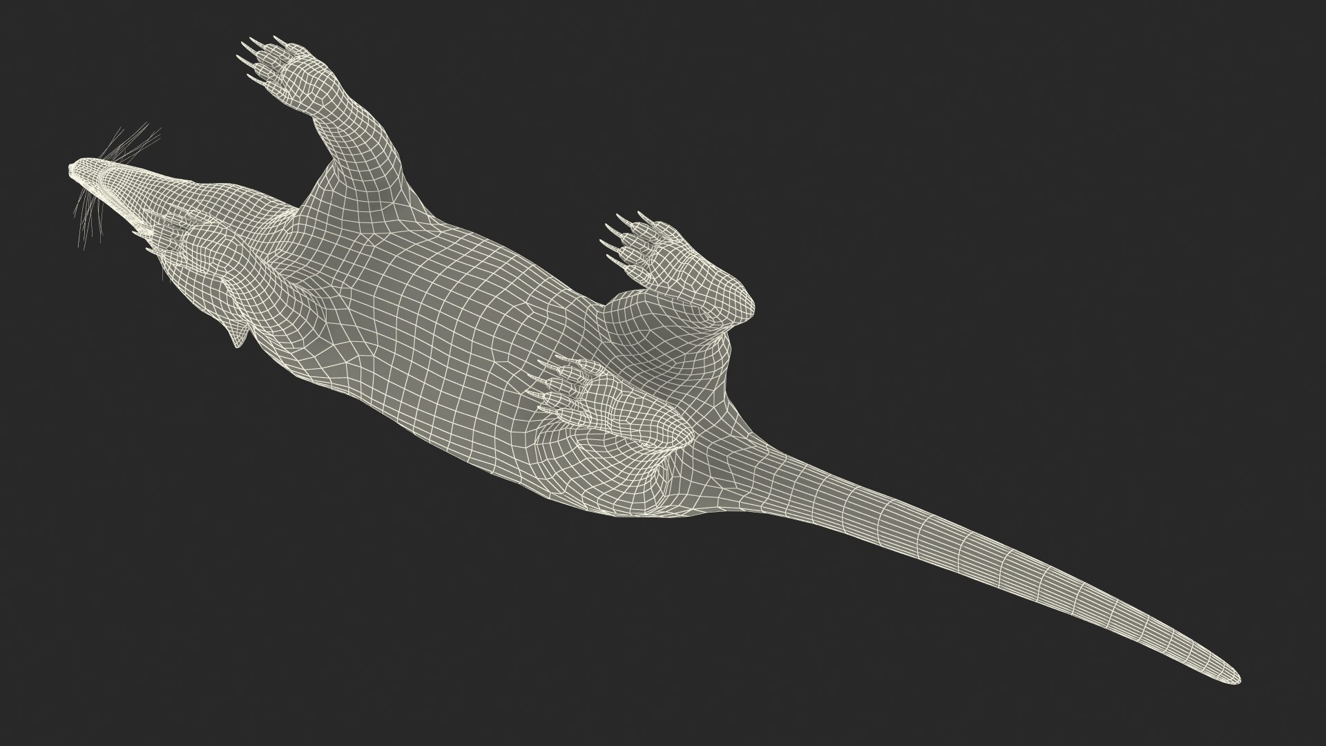 3D South American Coati Rigged model https://p.turbosquid.com/ts-thumb/bY/lLkz2Q/rE/southamericancoatiriggedvray3dmodel042/jpg/1708977501/1920x1080/fit_q87/b1cbdf284bf92c93a2f047e4636565fa0f745fbf/southamericancoatiriggedvray3dmodel042.jpg
