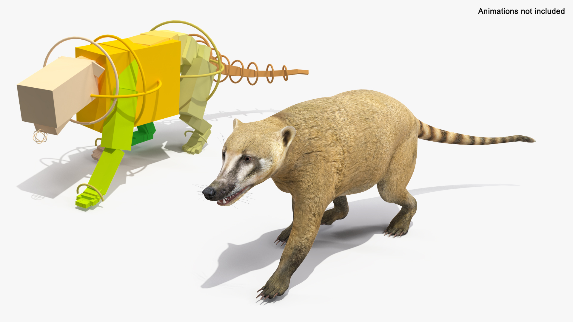 3D South American Coati Rigged model https://p.turbosquid.com/ts-thumb/bY/lLkz2Q/xo/south_american_coati_rigged_362/jpg/1708977021/1920x1080/turn_fit_q99/0be674277cc4145cb8e1594f1aea467467c49798/south_american_coati_rigged_362-1.jpg