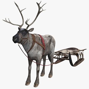 poles reindeer 3D