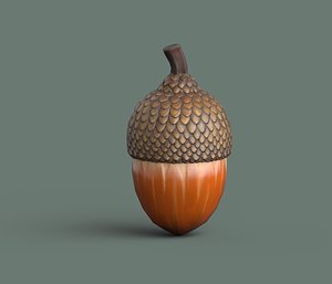 3D acorn model