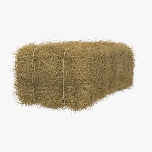 Hay Bale