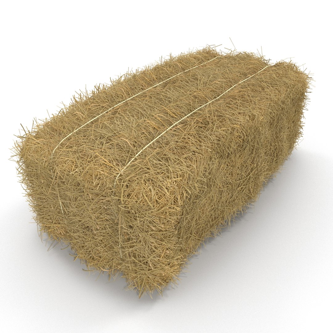 3d Model Hay Bale