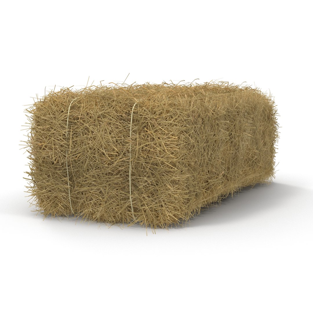 Hay Bale 3D model preview