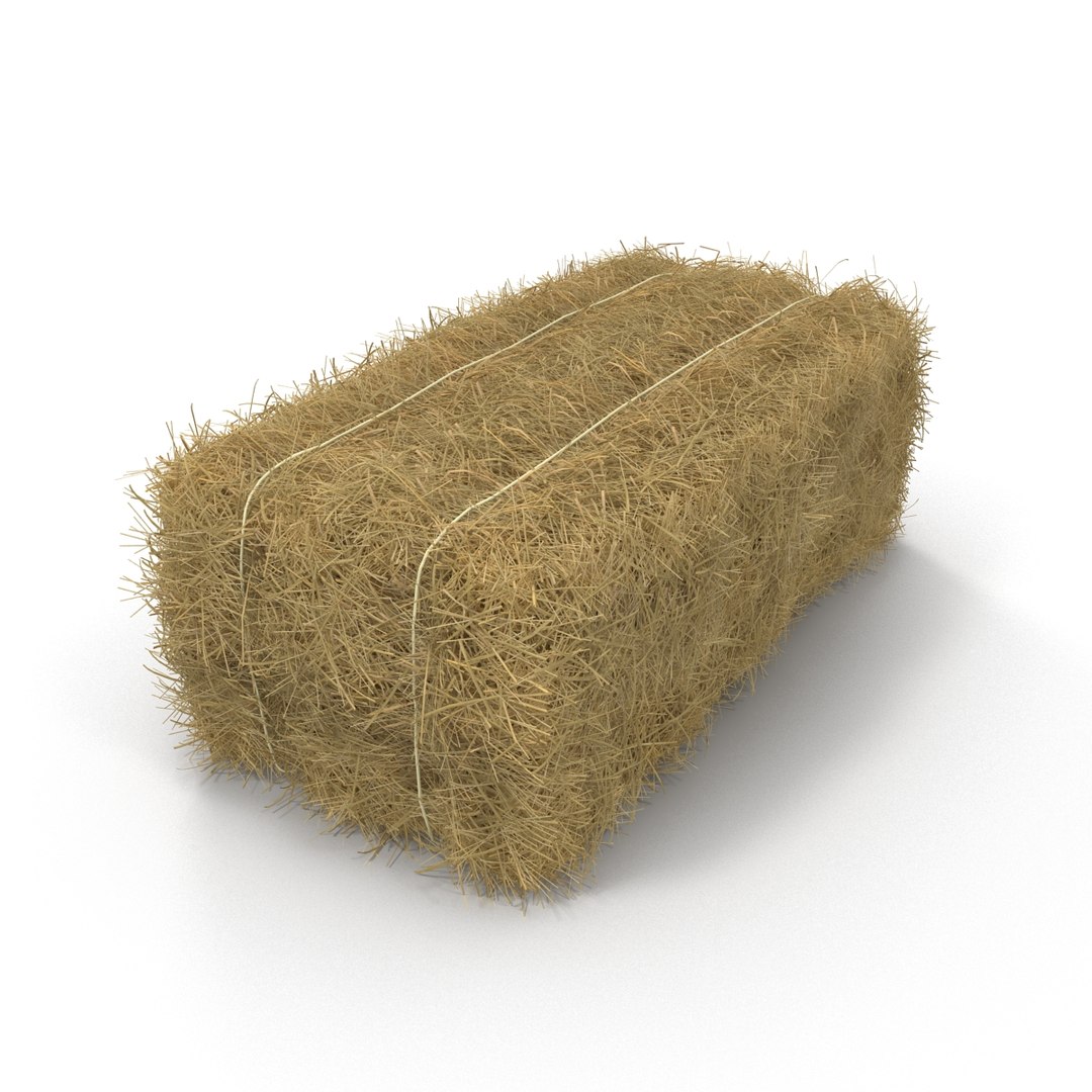 3d model hay bale https://p.turbosquid.com/ts-thumb/bY/ptvX2I/sS4jepgq/haybale3dmodel08/jpg/1432366074/1920x1080/fit_q87/789fd14add3245ef506fdfe0561a625c82bf7bee/haybale3dmodel08.jpg