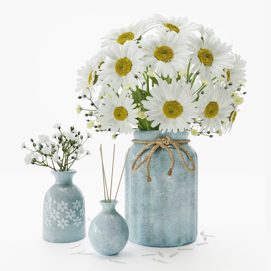 3d Chamomile Flowers Model - Turbosquid 1835354