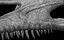 Modello di stampa 3D del teschio di Baryonyx