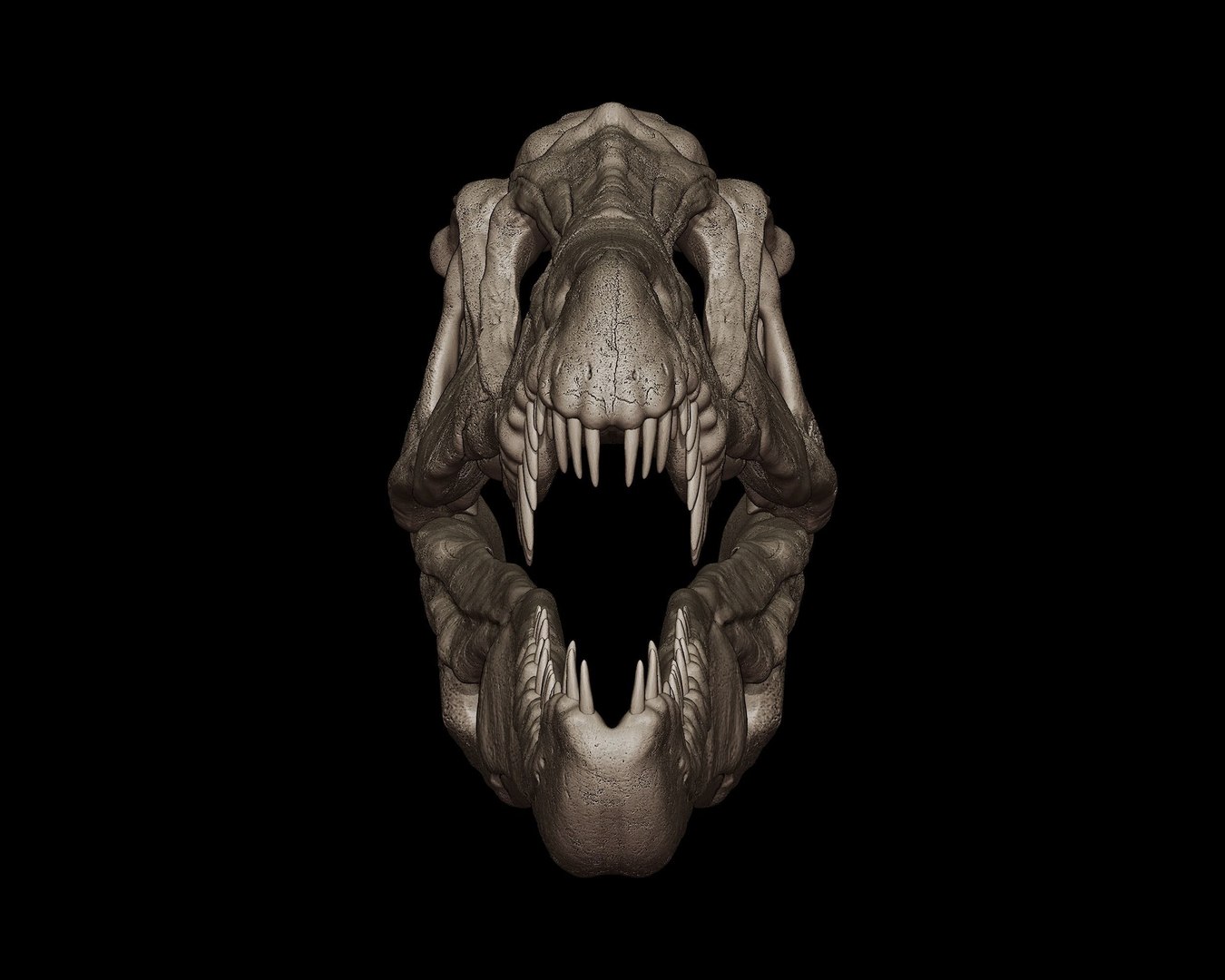 Baryonyx Skull 3D print model 3D model https://p.turbosquid.com/ts-thumb/bY/wk1lIK/Xm/baryonyxskull3dmodelaf3c737489/jpg/1745145019/1920x1080/fit_q87/ff9a44f44230cd98c6656ac61a101dcf237eeb75/baryonyxskull3dmodelaf3c737489.jpg