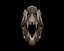 Modello di stampa 3D del teschio di Baryonyx