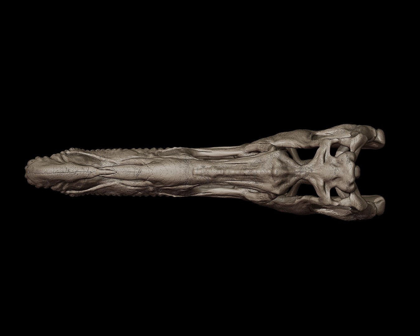 Baryonyx Skull 3D print model 3D model https://p.turbosquid.com/ts-thumb/bY/wk1lIK/Y3/baryonyxskull3dmodel62a41e1c0f/jpg/1745145010/1920x1080/fit_q87/e1c088300cc0c53afd0afd33cbf2de605602bc63/baryonyxskull3dmodel62a41e1c0f.jpg