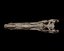 Modello di stampa 3D del teschio di Baryonyx